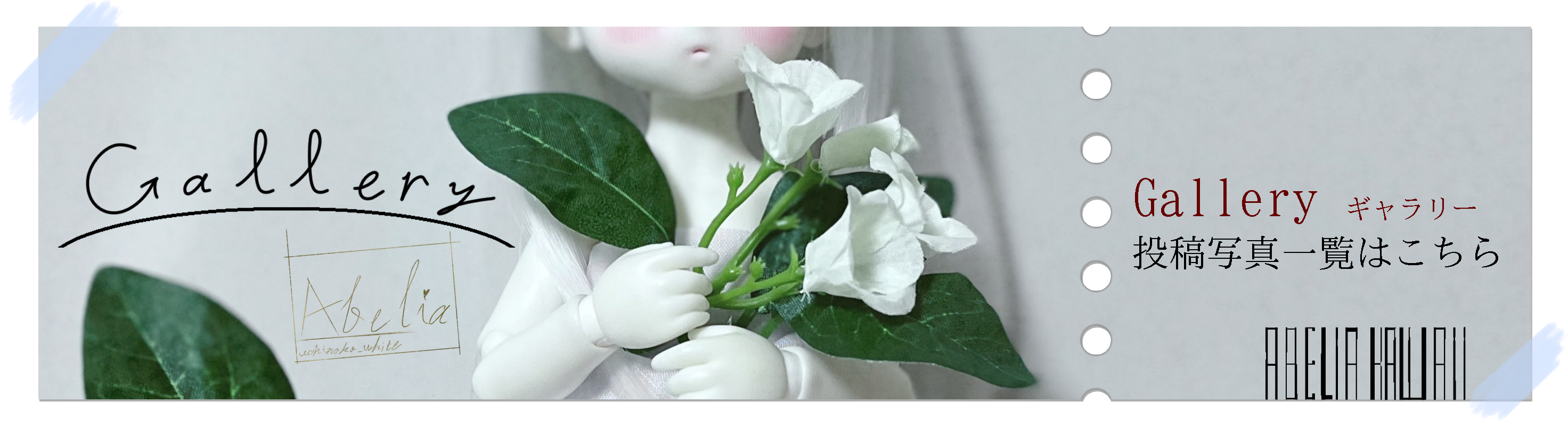 投稿写真一覧はこちら